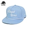 Snapbacks hat